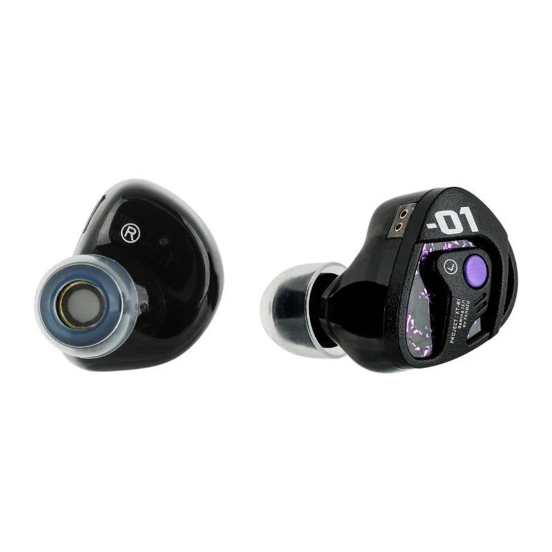 TANGZU Xue Tao Mic